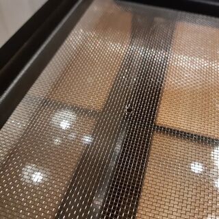 美品 爬虫類 ガラスケージの画像