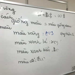 初級ベトナム語講座＆ベトナム料理食事会