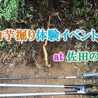 自然薯！山芋掘り体験イベント 予約ページ（１日５組まで）