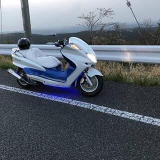 マジェスティ250の画像