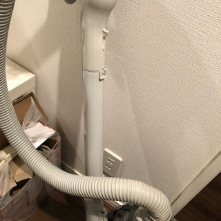 29か30に引き取り可能な方の画像