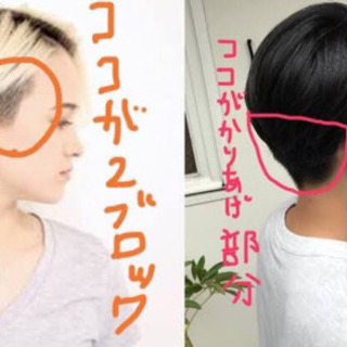 理容師様募集中　YouTube撮影にご協力して頂ける方　スキンヘッド、刈り上げ希望のモデル様がいます。の画像