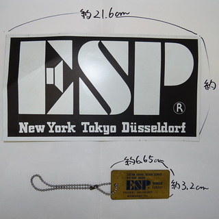 大きいESPステッカーとメンバーズキーホルダー　当時物