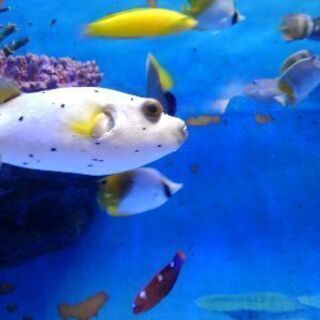 子連れOK 託児所アルバイト　保育士の資格ある方歓迎　　