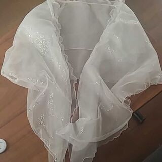 レースボレロの画像