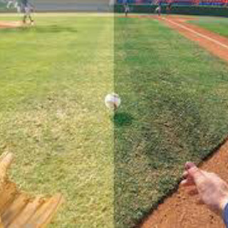 ④ オークリー レーダーロック レンズ プリズム ベースボール インフィールドの画像