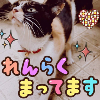 家族になってくださる方(^^)募集させて頂きます(^^)