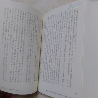 地球はやはりがらんどうだったの画像