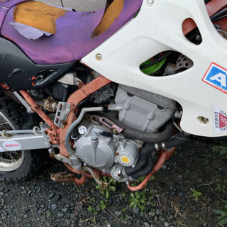 レースで使ってましたの画像