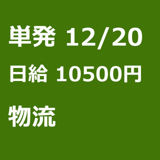 【急募】 12月20日/単発/日払い/杉並区:【急募・電話面談で...