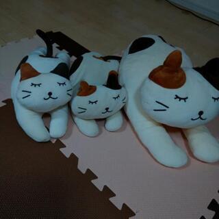 見つかりました(*^^*)猫のぬいぐるみ