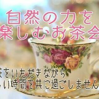 自然の力を楽しむお茶会