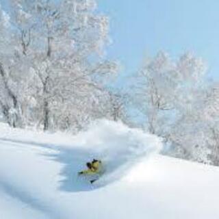 スノーボード、powder好きの方。