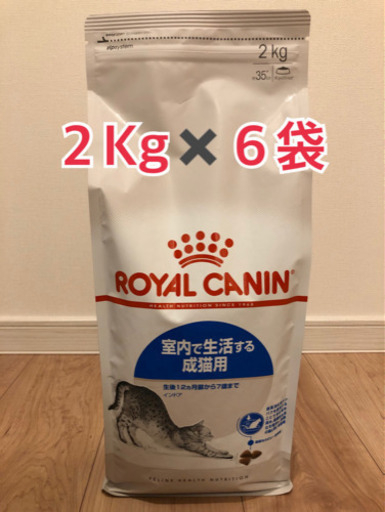【22日まで】猫用ペットフード　ロイヤルカナン2キロ✖️6袋