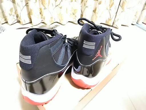 エアジョーダン11 AIR JORDAN 11 26cm