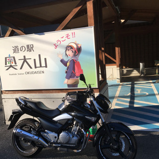suzuki gsr 250  の画像
