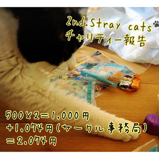 ZUMBAサークル　Stray cats🐾参加者募集の画像