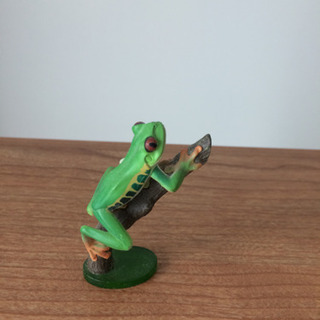 カエル好きセットの画像