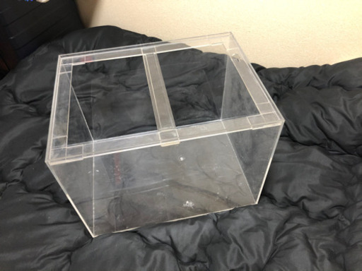 アクリル60センチ水槽