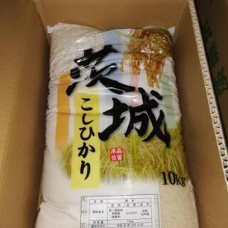 【令和元年 新米】 茨城県産こしひかり10kg