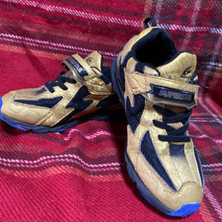 【男児 moonstar 運動靴 20㎝  ３００円】