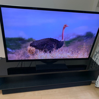 SONY BRAVIA 55型とSONYシアターラック