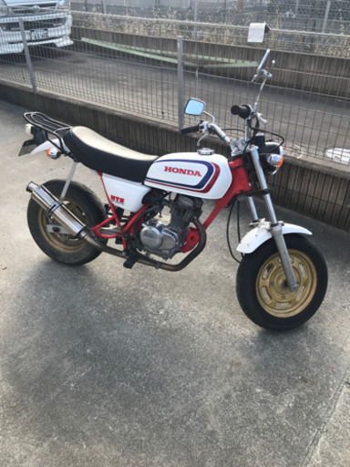 エイプDX 50