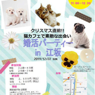 【女性1名急募】12月22日(日) 婚活パーティー　in江坂