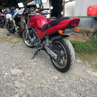カワサキ バリオス ZR250Aの画像