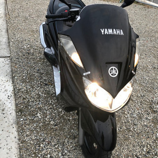 グランド マジェスティ 250 オリジナルフェイス　早い者勝ち！