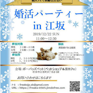 【女性あと1名】江坂での婚活パーティー　動物編