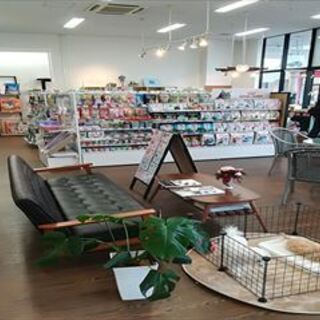 子犬・子猫販売、犬猫セレクト商品、各ペットイベント