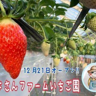 近八幡市安土町にオープンしました。