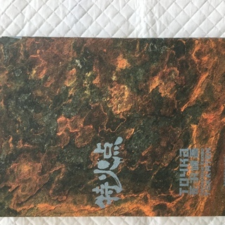 アイアムアヒーロー　特火点の画像