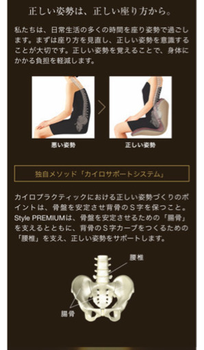 最終値下げ！美品！Style PREMIUM ブラック