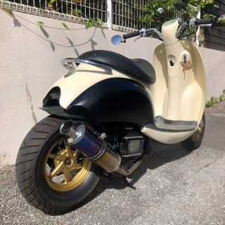 ホンダ　スクーピー用カウルの画像