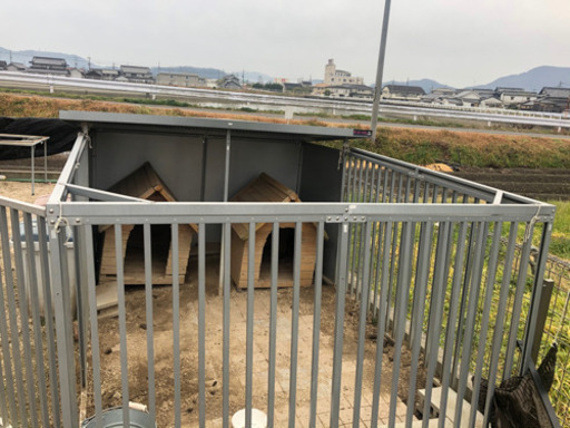 沢山の方に問い合わせ頂き有難うござました。
