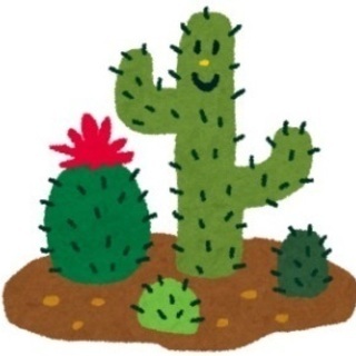 社会人バドミントンサークル　CACTUS