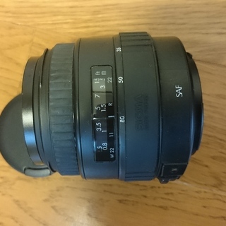 フィルムカメラ キャノン EOS KISS ＋ SIGMA製レンズ２本（35-80mm,75-300mm セット）の画像