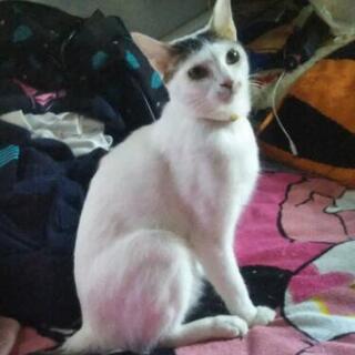 甘えん坊さんのモモちゃん(4歳）