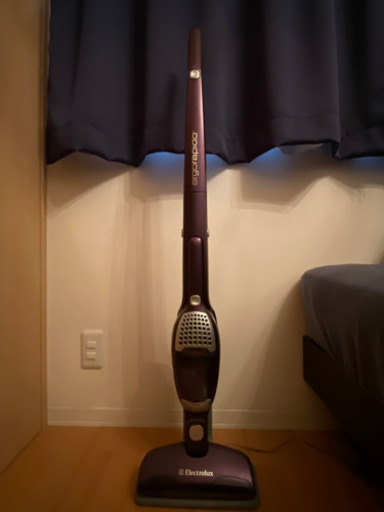 スティック掃除機　Electrolux ZB2902 ジャンク品