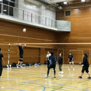 【隔週水曜18:30〜21:00】男女混合バレーボールチーム‼️ - スポーツ