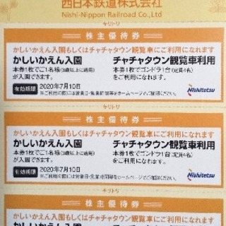 【限定特価！】4枚 福岡 かしいかえん入園券　20年1月10日迄 