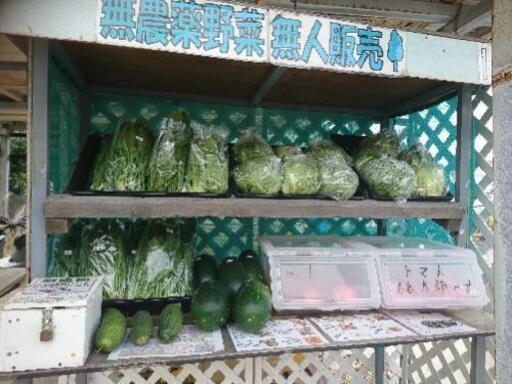 野菜