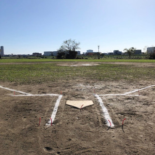 【1月体験会】少年硬式野球_世田谷リトルリーグの画像