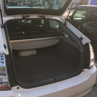 中古車 白 トヨタプリウスの画像