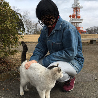神奈川県区保土ヶ谷区地域猫ボランティア募集