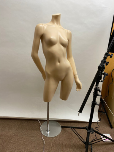 2万円くらいした、腕付きマネキン、トルソー レディースMサイズ程度