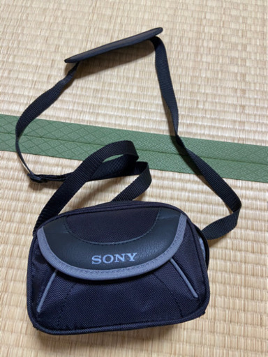 ✳️ SONYのカメラバッグ