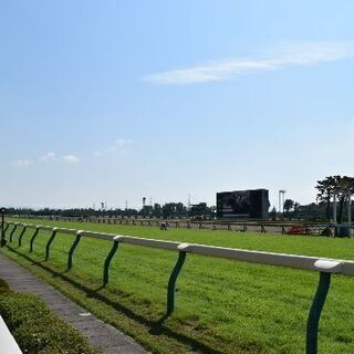 12/28(土)中京競馬場